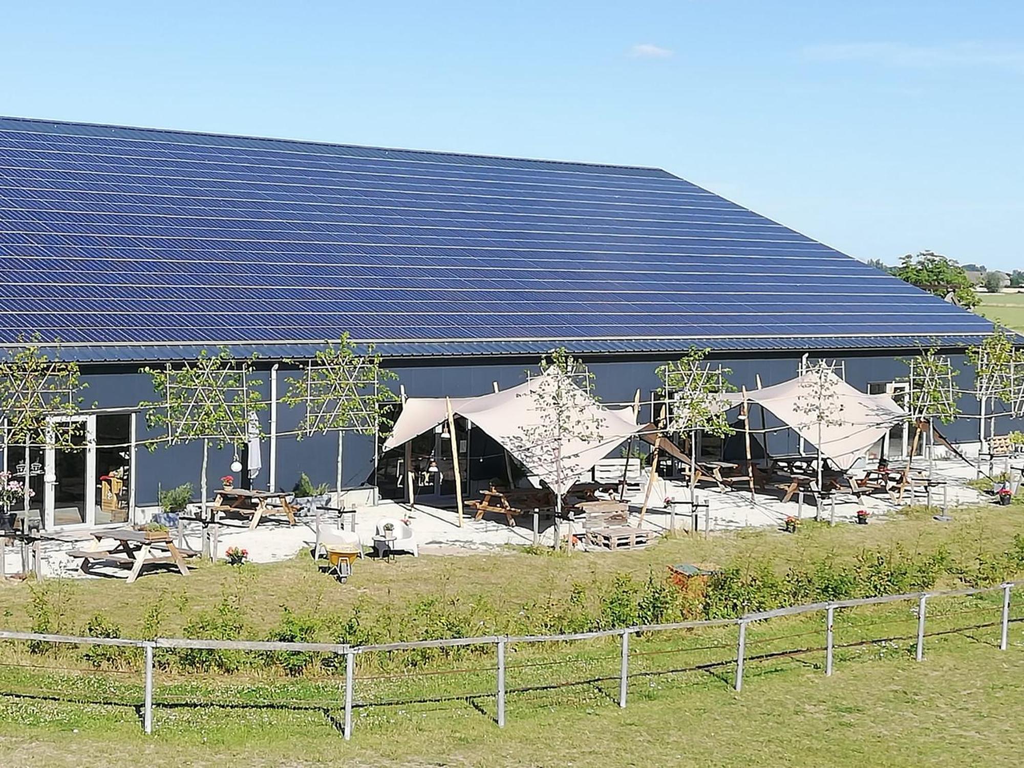 De Hazelaarshof Luxe Glampingtent Bij Natuurgebied De Millingerwaard Luxury tent Kekerdom